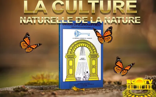 universe in disenchantment and the Michaelis definitions: why it does not fit as a religion, sect, or doctrine.